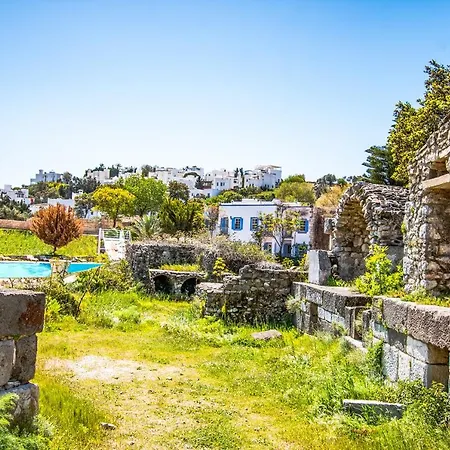 历史博物馆度假村