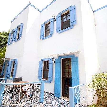 Historical Museum 2*