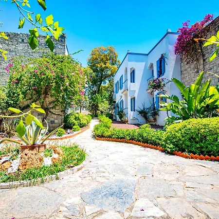 度假村 历史博物馆度假村