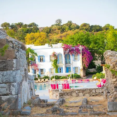 历史博物馆度假村 博德鲁姆