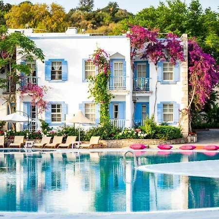 度假村 历史博物馆度假村 2*