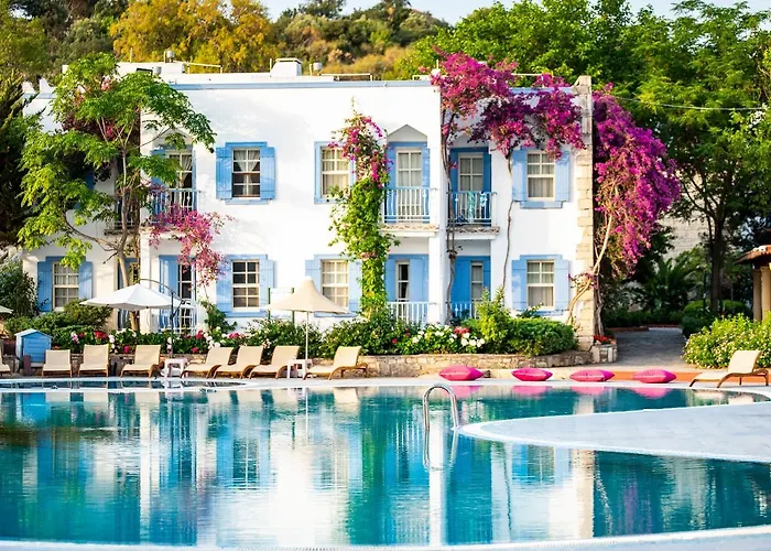 리조트 Historical Museum 2*