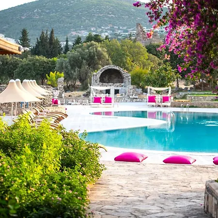 Semesteranläggning (resort) Historical Museum 2*